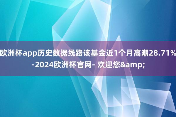 欧洲杯app历史数据线路该基金近1个月高潮28.71%-2024欧洲杯官网- 欢迎您&