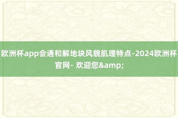 欧洲杯app会通和解地块风貌肌理特点-2024欧洲杯官网- 欢迎您&