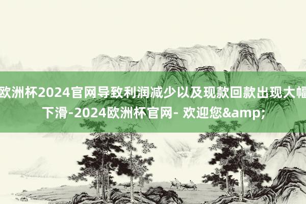 欧洲杯2024官网导致利润减少以及现款回款出现大幅下滑-2024欧洲杯官网- 欢迎您&