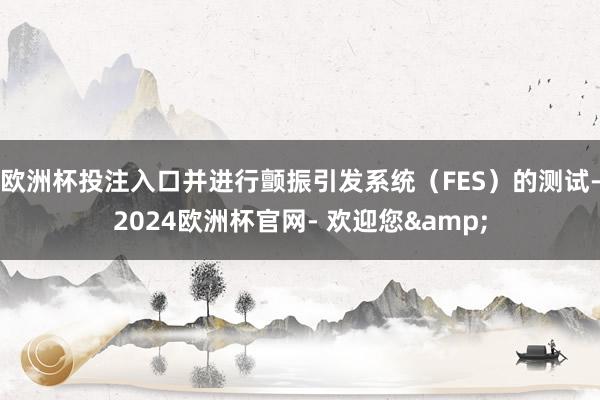 欧洲杯投注入口并进行颤振引发系统（FES）的测试-2024欧洲杯官网- 欢迎您&