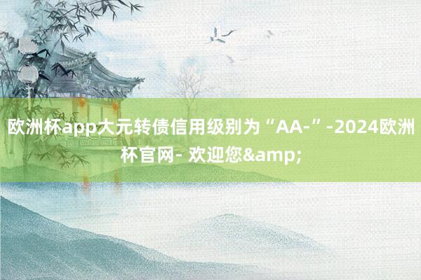 欧洲杯app大元转债信用级别为“AA-”-2024欧洲杯官网- 欢迎您&