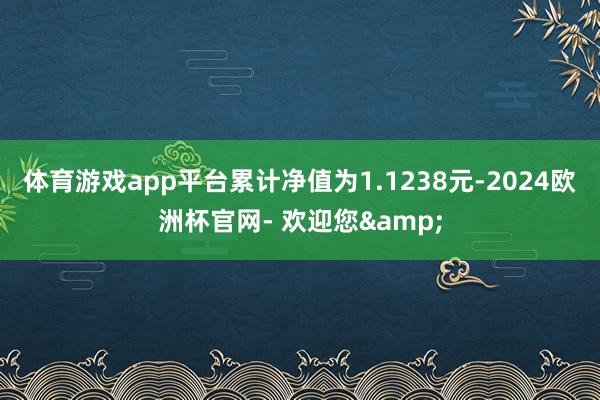 体育游戏app平台累计净值为1.1238元-2024欧洲杯官网- 欢迎您&