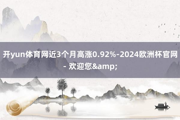 开yun体育网近3个月高涨0.92%-2024欧洲杯官网- 欢迎您&