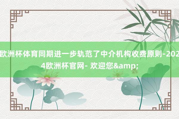 欧洲杯体育同期进一步轨范了中介机构收费原则-2024欧洲杯官网- 欢迎您&