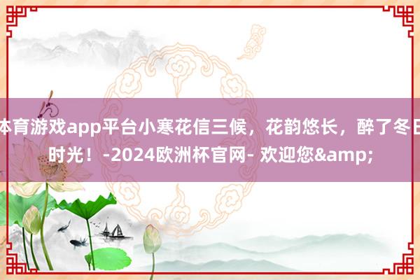 体育游戏app平台小寒花信三候，花韵悠长，醉了冬日时光！-2024欧洲杯官网- 欢迎您&