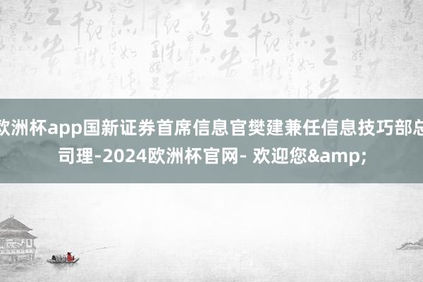 欧洲杯app国新证券首席信息官樊建兼任信息技巧部总司理-2024欧洲杯官网- 欢迎您&