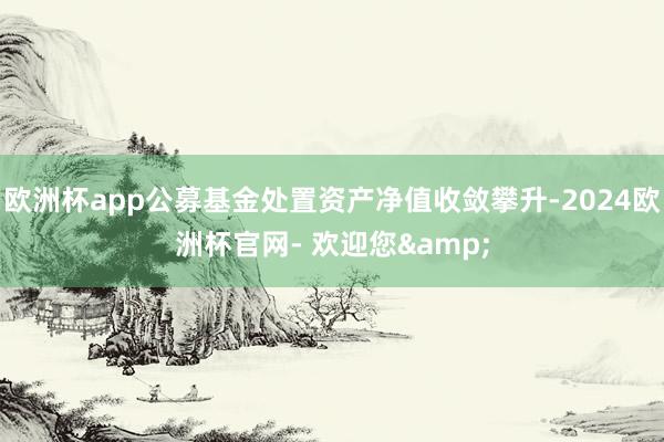 欧洲杯app公募基金处置资产净值收敛攀升-2024欧洲杯官网- 欢迎您&