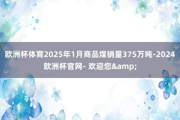 欧洲杯体育2025年1月商品煤销量375万吨-2024欧洲杯官网- 欢迎您&